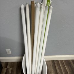 Fluorescent Light Bulbs