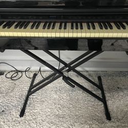 Williams Digital Piano 