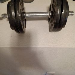 Dumbbell Straight Bar And Weights