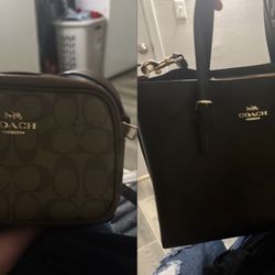 coach purses 