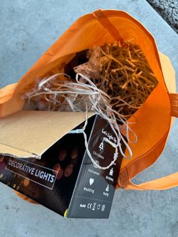 Decorative String Lights Set