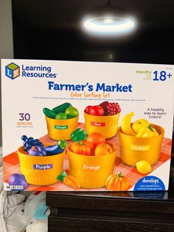 NEW learning resources fruit sorting set
