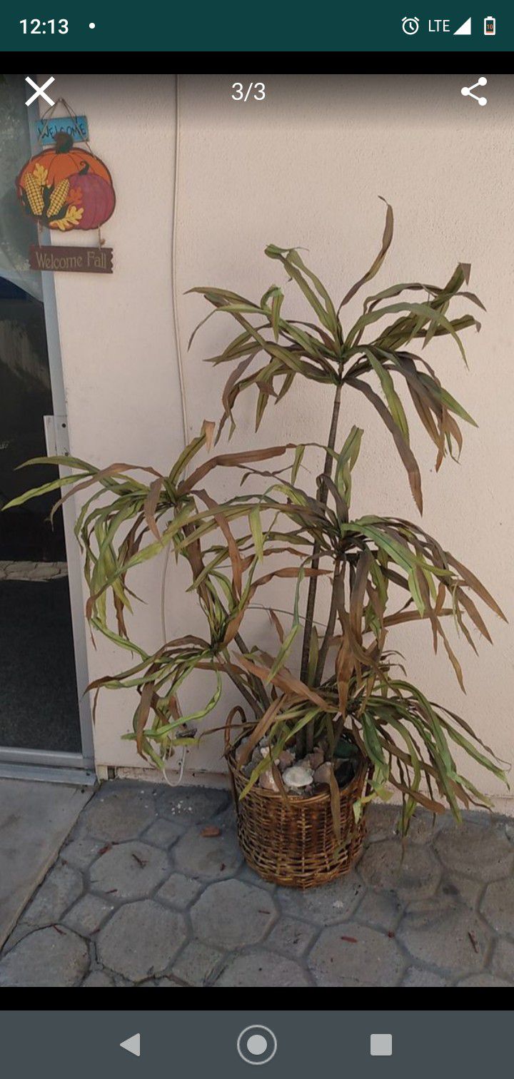 Fake plant