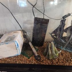 37 Gallon Aquarium Tank And Accessories 
