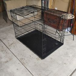 Dog Kennel