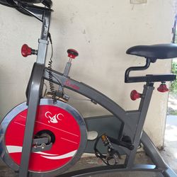 Sunny excersise bike