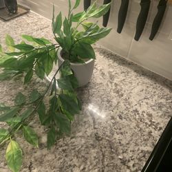 Artificial House Plant