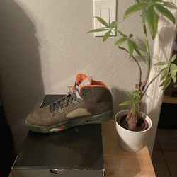 Size 10.5 - Air Jordan 5 Retro LS Olive NEW DS!!