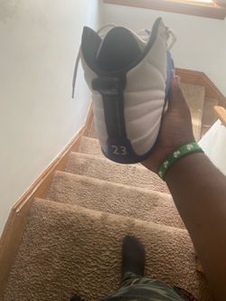 Jordan 12