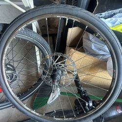 Bike Wheel 