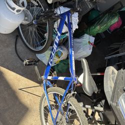 Walmart Bike