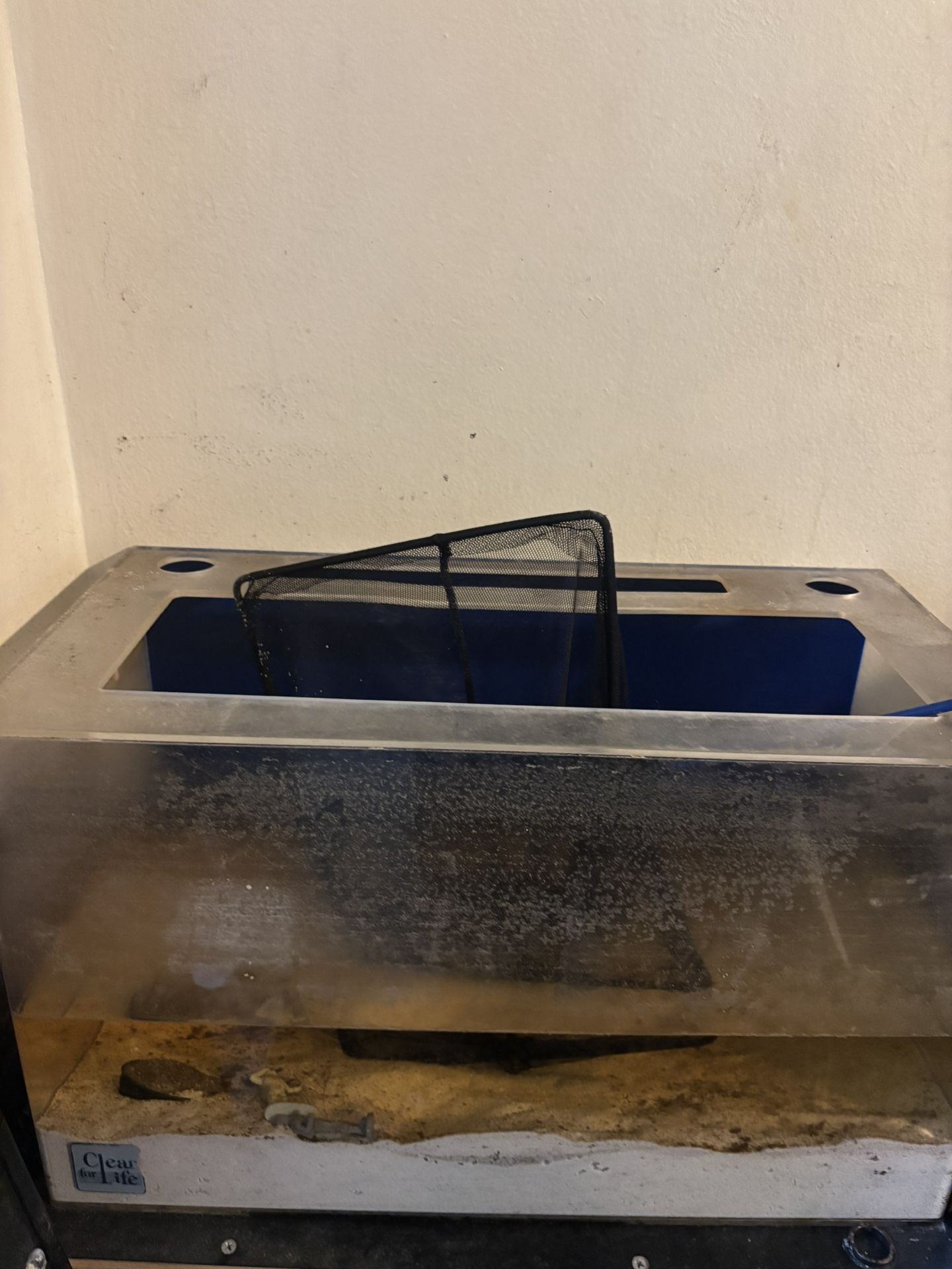 10 Gallon Acrylic Fish Tank