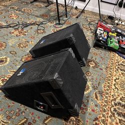 Monitor Wedge Speakers 
