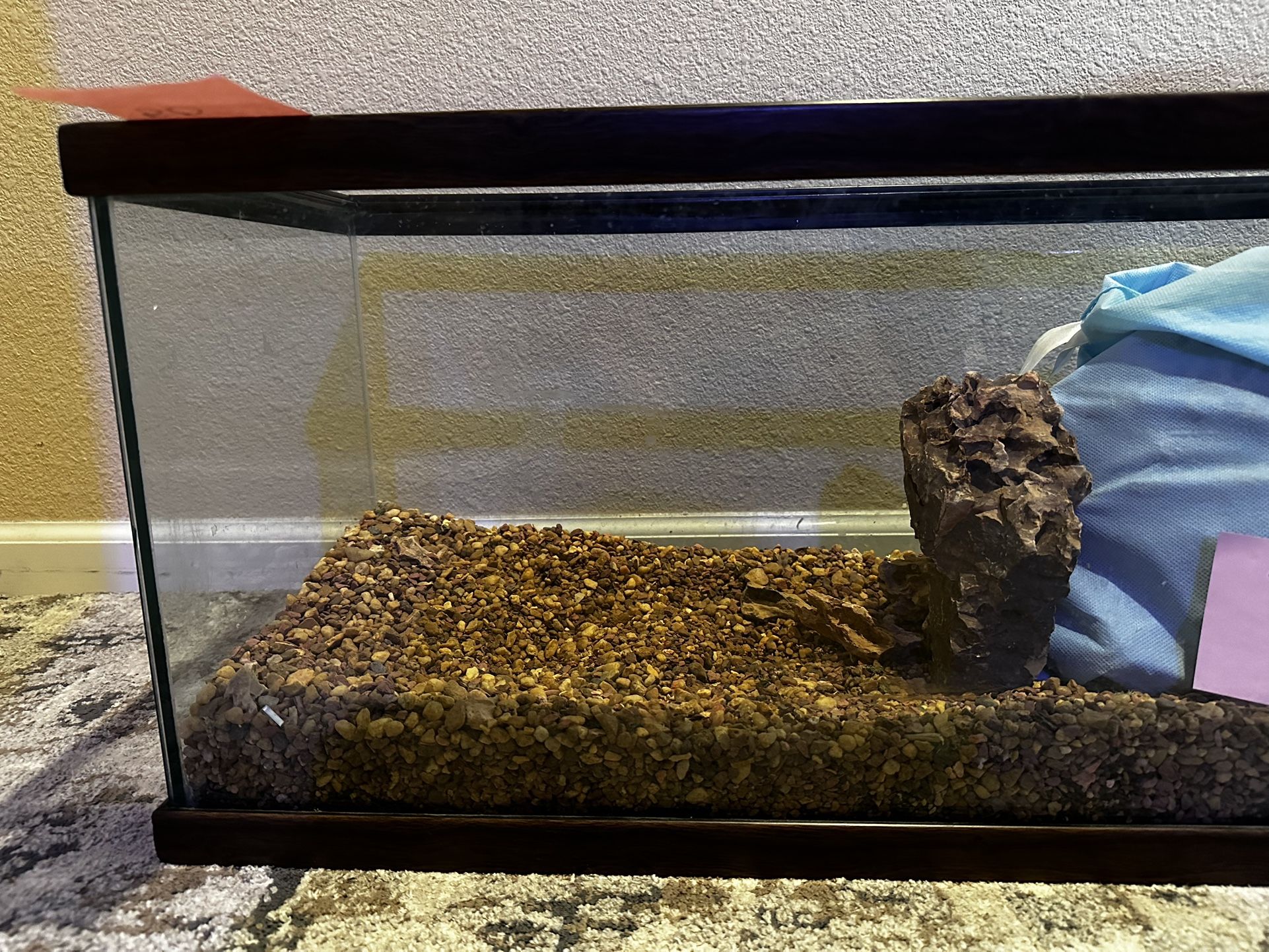 20gallon Long With Fluval 107 Filter And 15lbs Of Ohko Stone