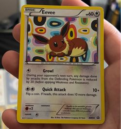 Pokemon Eevee BW PROMO