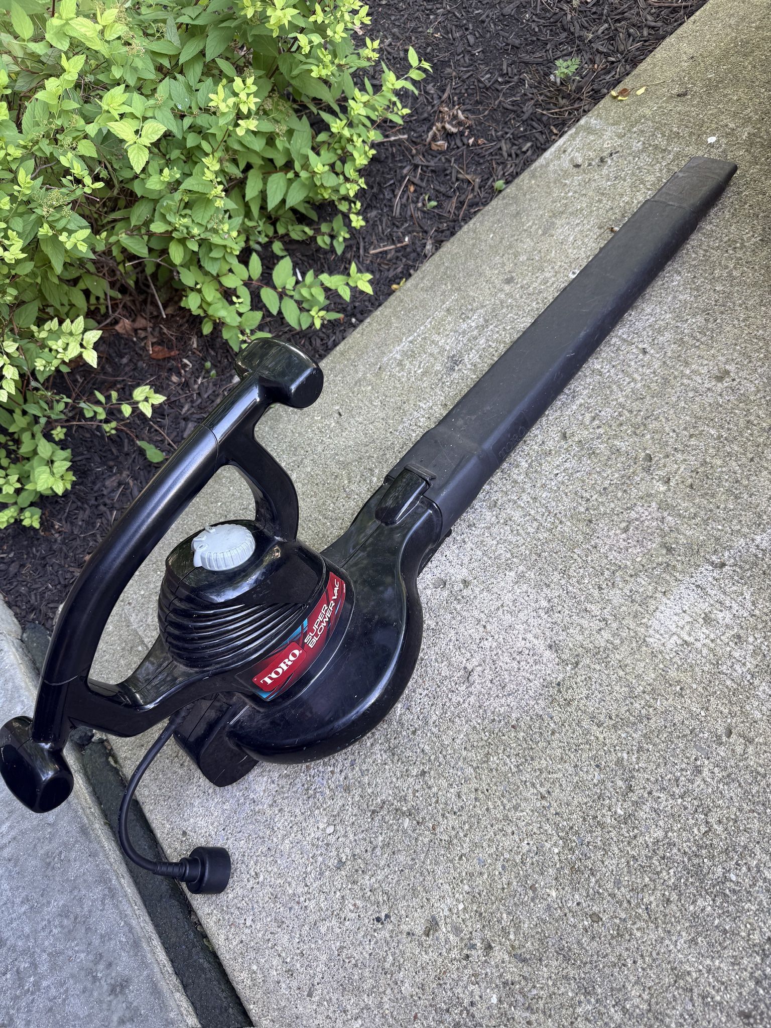 Toro Electric Super Blower with 2 Speeds and in great shape!