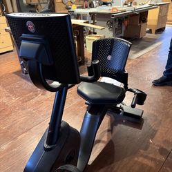 Schwinn Recumbent Bike (seldomly Used)
