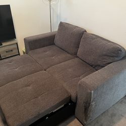 Gray Pull Out Love Seat Couch