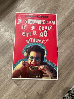 Harry styles poster