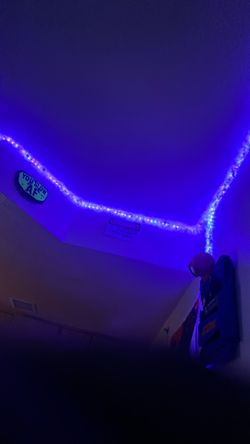 Led Light Installation