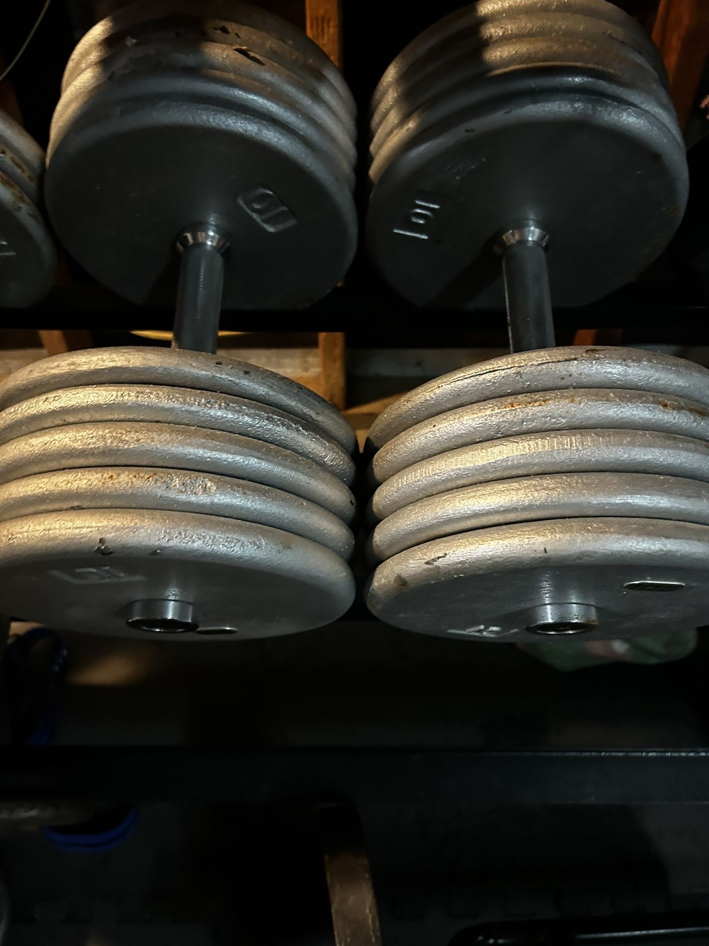 105 lb Dumbbells