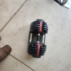 Bowflex Dumbbell 552 *needs Work*