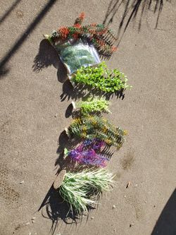 Aquarium artificial plants