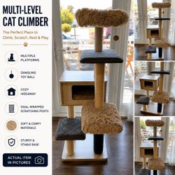 Cat Climber