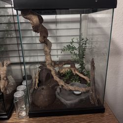 Reptile Tank