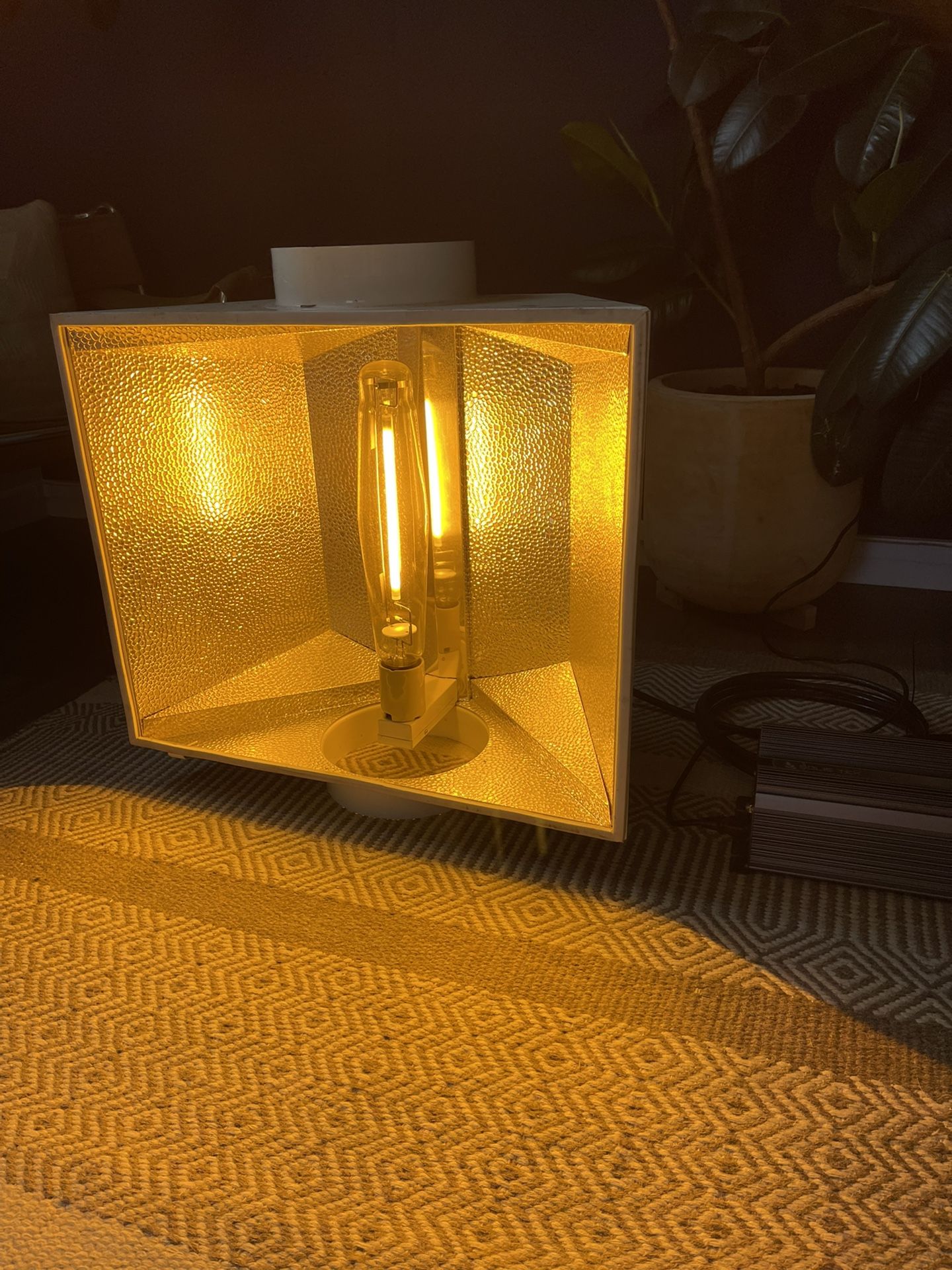 1000w grow light Dynamiq hood with Solis Tek Ballast