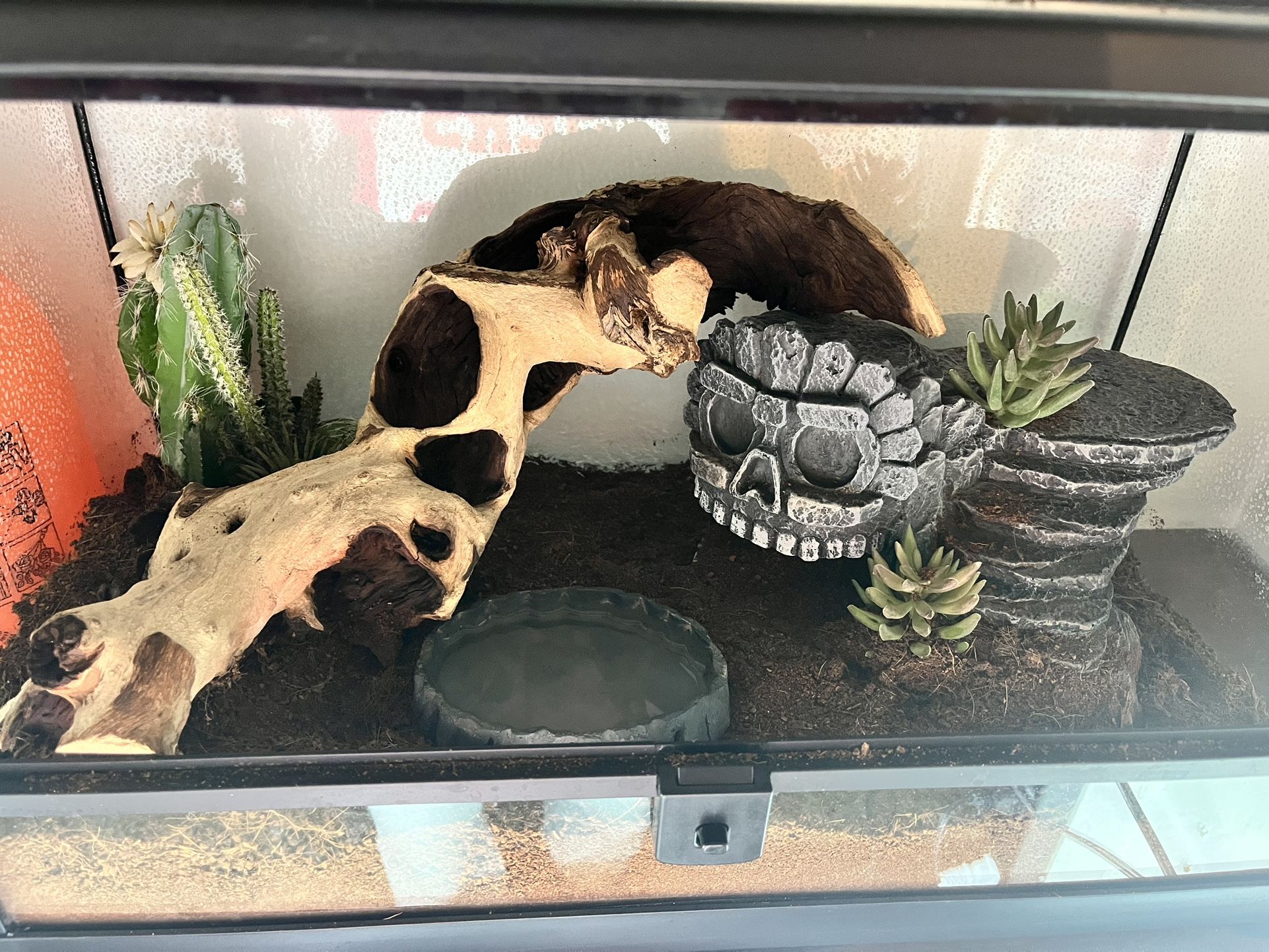 Snake Enclosure + More