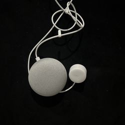 Google Nest