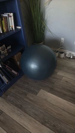 Gym workout ball