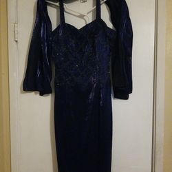 Dress Blue Size 6
