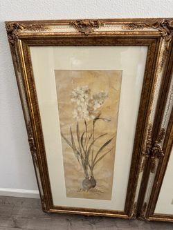 Framed Flowers (x2)