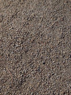 Free Rock Madison Gold