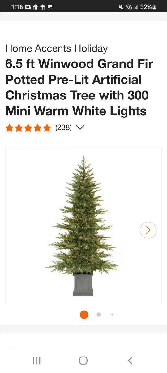 6.5 Winwood Grand Fir