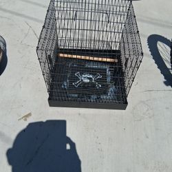 Bird Cage 