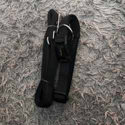 Dog Collar L