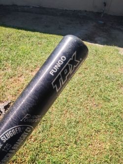 Fungo Bat