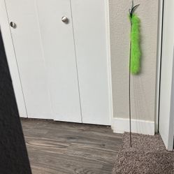 Neon Green Rat Tail