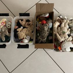 Beanie Babies