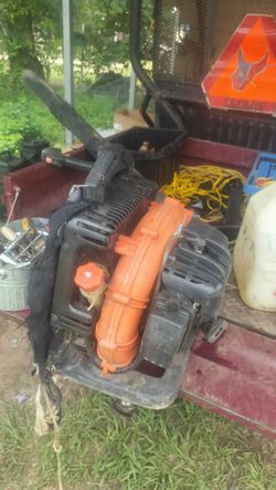 $250 for a echo blower runs great take it as is