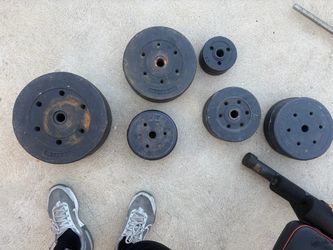 Bench press weights ONLY