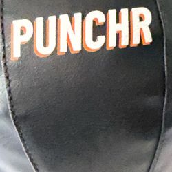 Punchr BoxReflex Punching Bag Trainer + Carry Bag