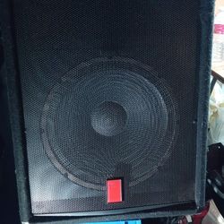 Dual Fender 1211 mkii PA speakers