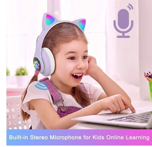 Wireless Headphones And Mic