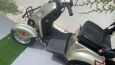 Scoter