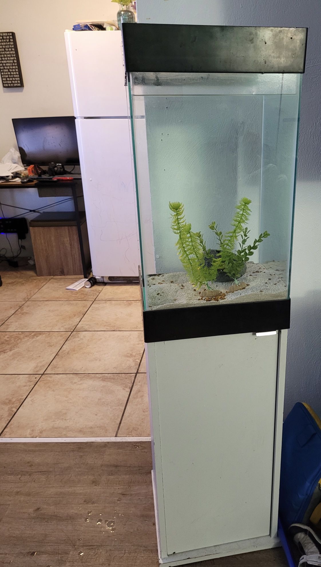 20  Gallon Tall Tank With Stand 