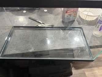 10 gallon tank no lid included